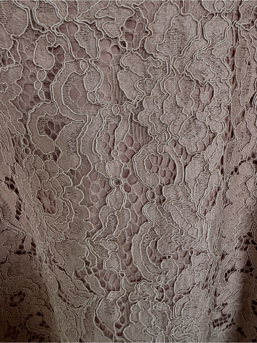 Zara Lace Midi Skirt Size S Dusty Pink Fully Lined Side Zip - Picture 4 of 9